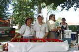 wald_jagdtag_25_06_2023 (138)
